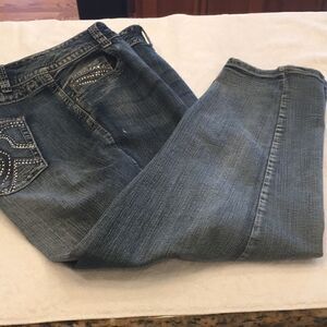 Lane Bryant size 22 cropped embellished jeans rhinestone embroidered